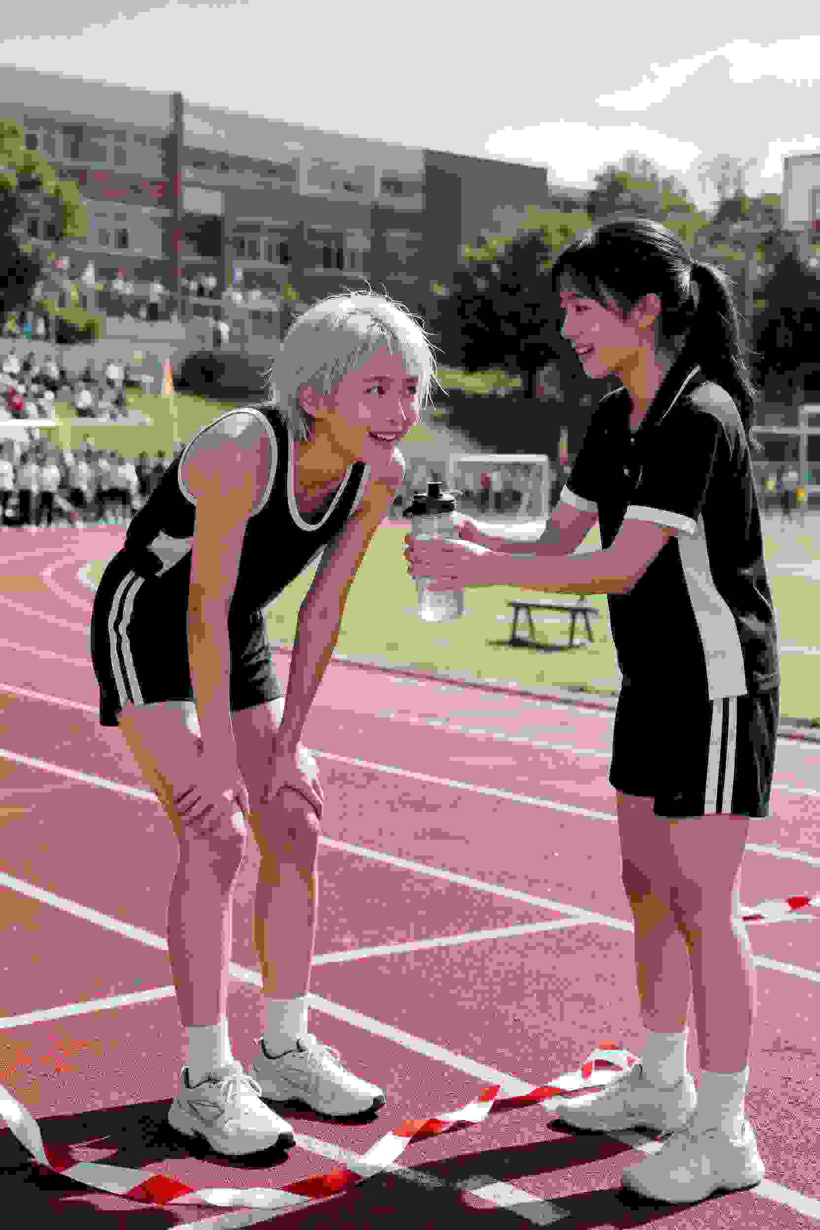 圣斗士星矢